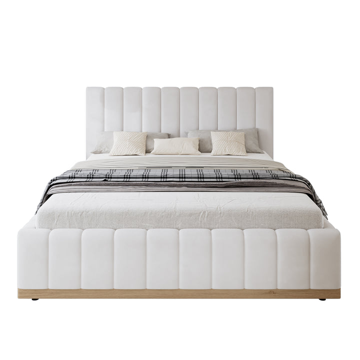 N604D665657B_media_7