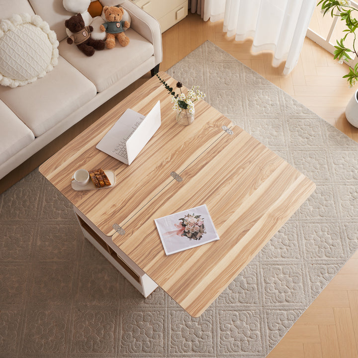 Modern white & oak lift-top coffee table hidden storage CLOUDWING