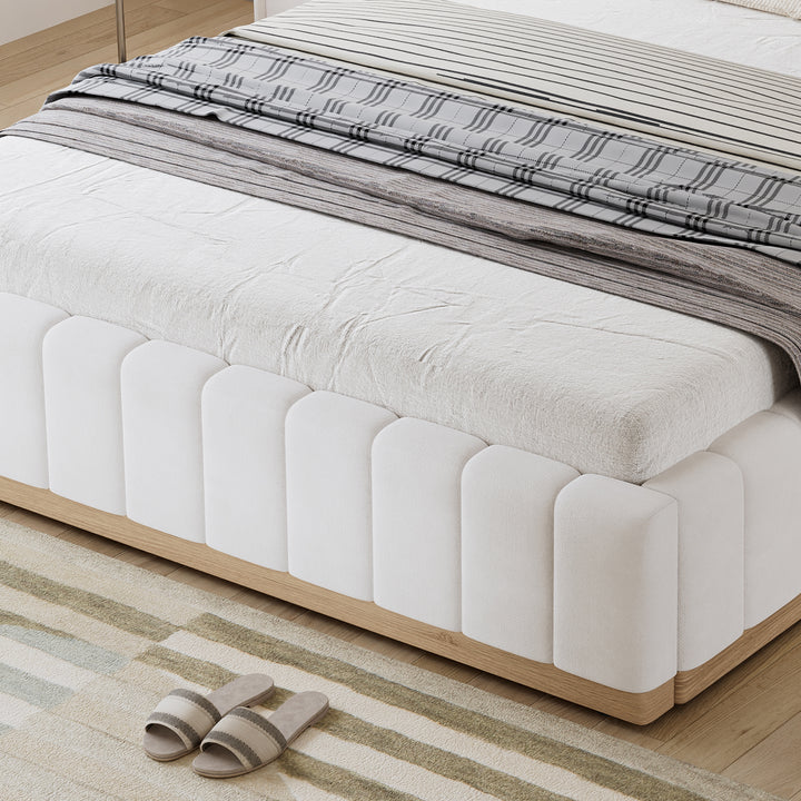 N604D665657B_media_19