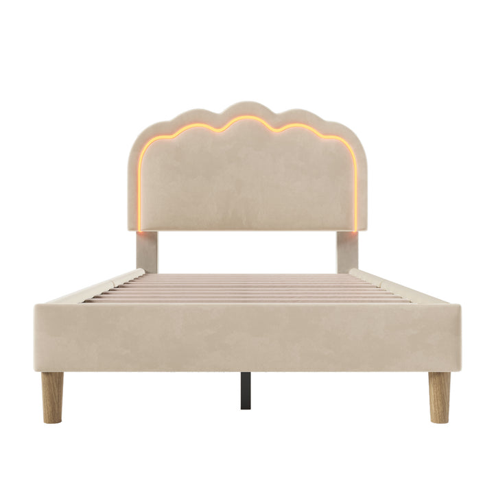 Beige velvet upholstered divan bed frame with LED, headboard height adjustable INDROX BEIGE UK