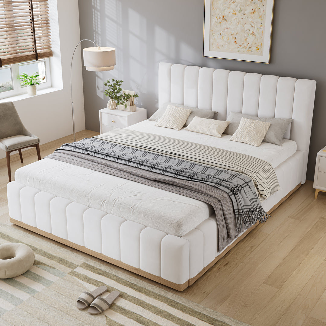 N604D665657B_media_1