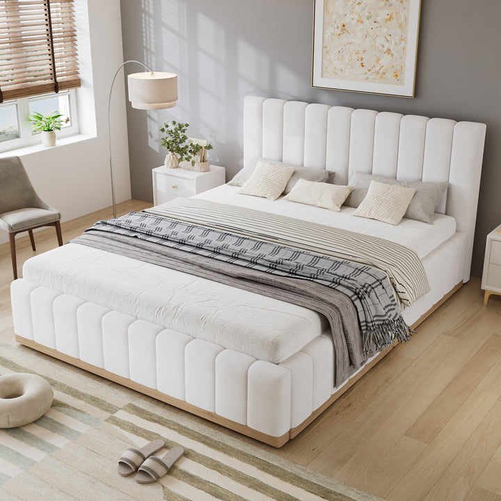 N604D665657B_media_1