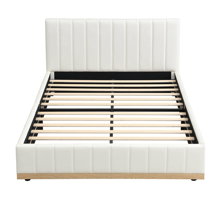 N604D665657B_media_11