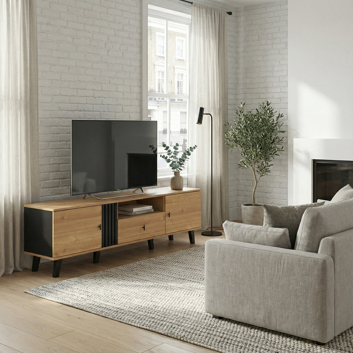 Modern wooden TV cabinet with drawer 2 doors with black slatted design SEEDLING