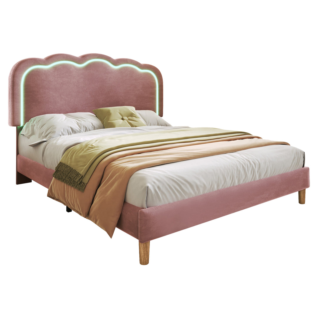 Pink velvet upholstered divan bed frame with LED, headboard height adjustable INDROX PINK UK