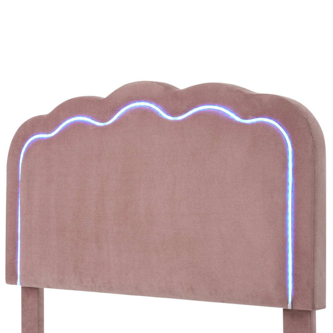 Pink velvet upholstered divan bed frame with LED, headboard height adjustable INDROX PINK UK